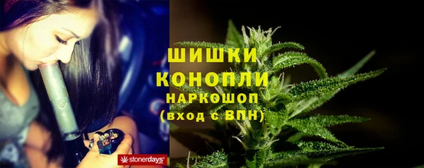 винт Вяземский