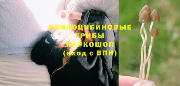 винт Вяземский
