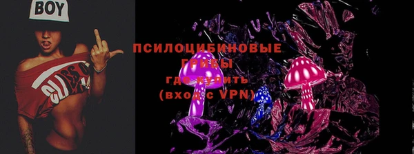 ПСИЛОЦИБИНОВЫЕ ГРИБЫ Вязники
