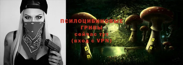 винт Вяземский