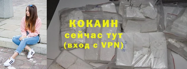 винт Вяземский