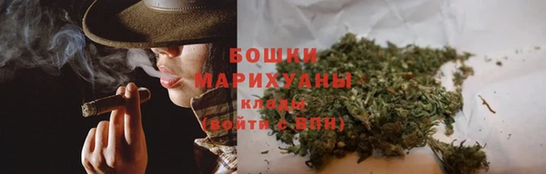 ПСИЛОЦИБИНОВЫЕ ГРИБЫ Вязники
