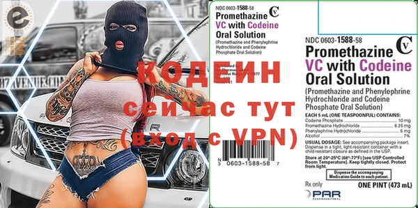 ПСИЛОЦИБИНОВЫЕ ГРИБЫ Вязники