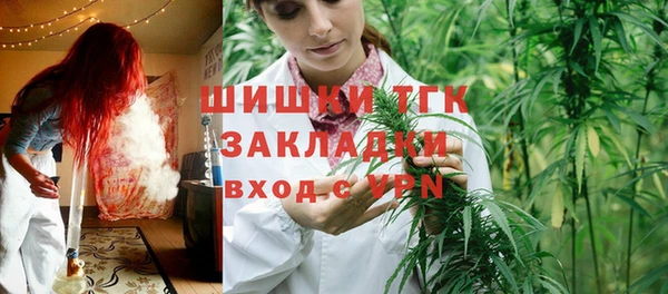 шишки Вязьма