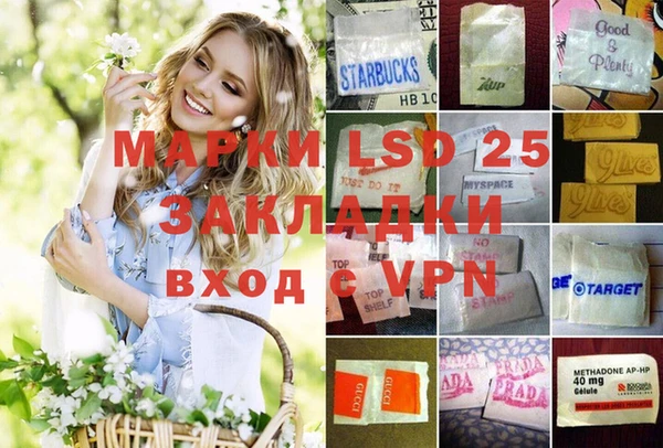шишки Вязьма