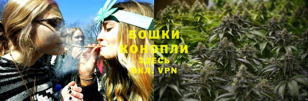 шишки Вязьма