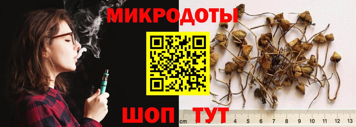 Звенигород  Псилоцибиновые грибы Psilocybe  Галлюциногенные грибы GOLDEN TEACHER  Вход с VPN 